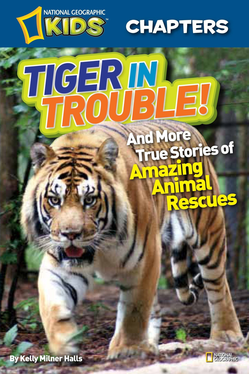 Tiger in Trouble! National Geographic Kids (Hardcover) - Books By The Bushel