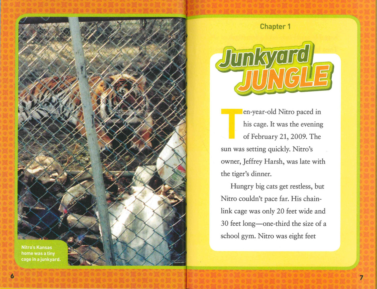 Tiger in Trouble! National Geographic Kids (Hardcover) - Books By The Bushel