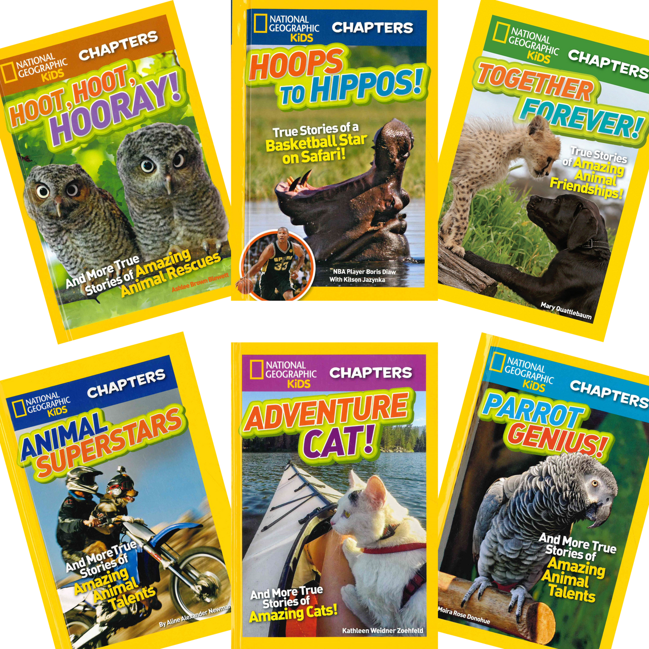 Adventure Cat: National Geographic Kids (Hardcover) - Books By The
