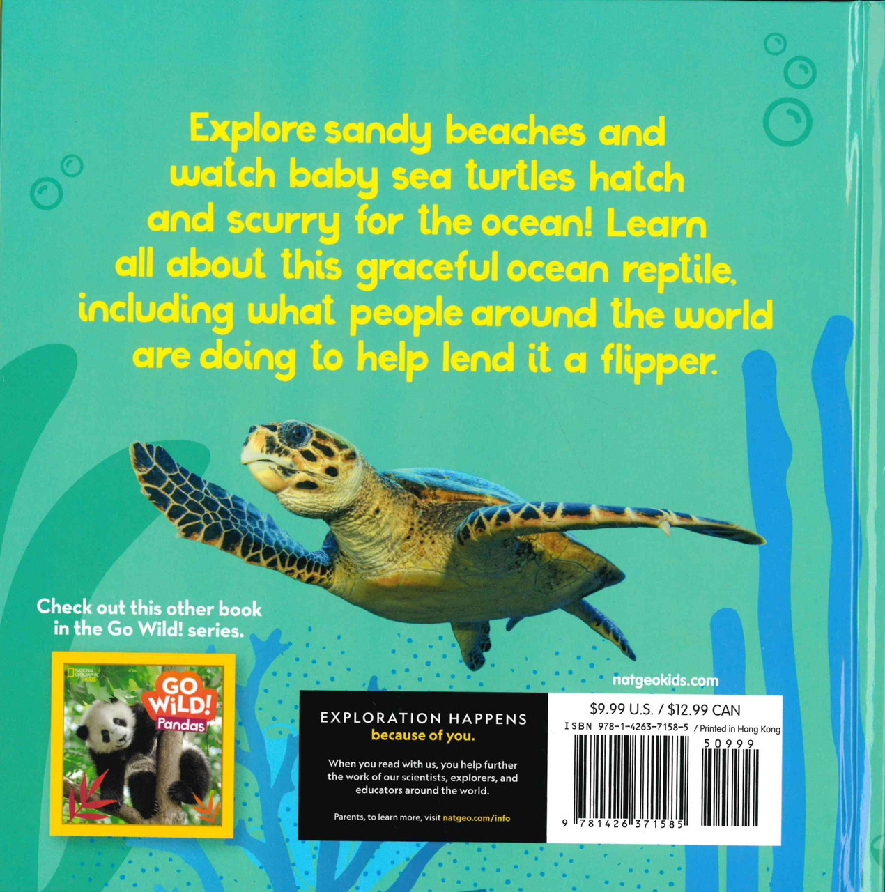 Sea Turtle Book for Kids Brings Awareness and Heart - 30A