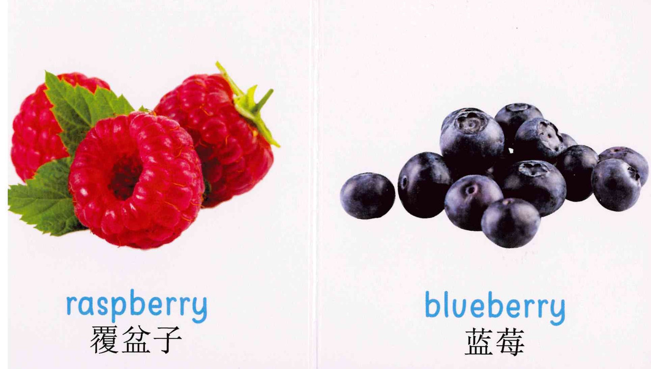 My First Book of Fruits (Chinese/English) (Board Book) - Books By