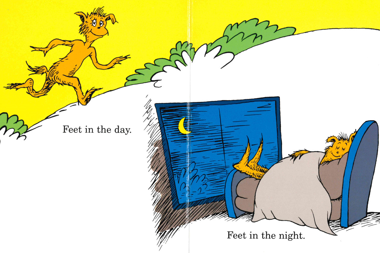 The Foot Book (Board Book)* - Books By The Bushel