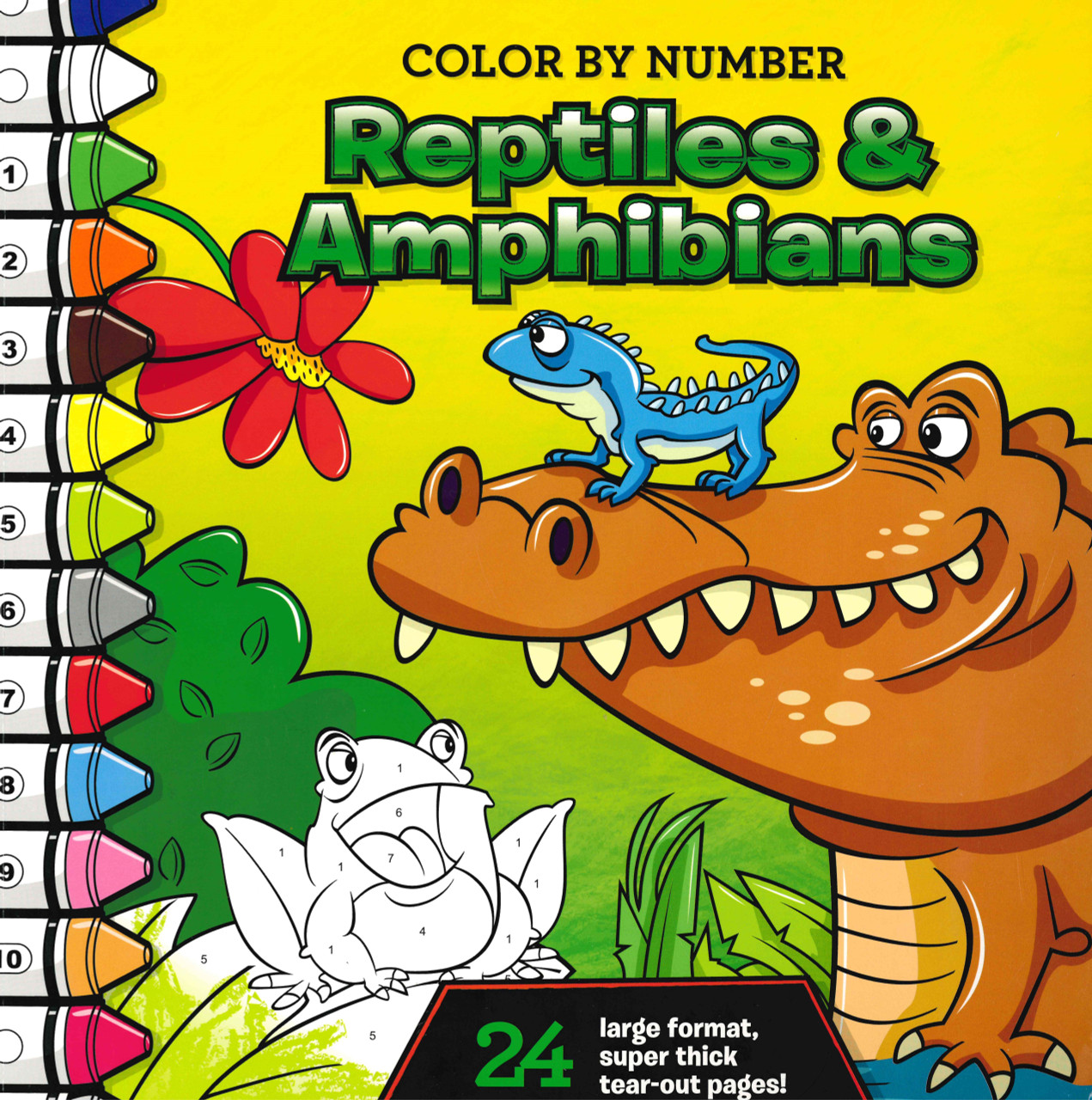 Reptiles Amp Amphibians Color By Number Paperback