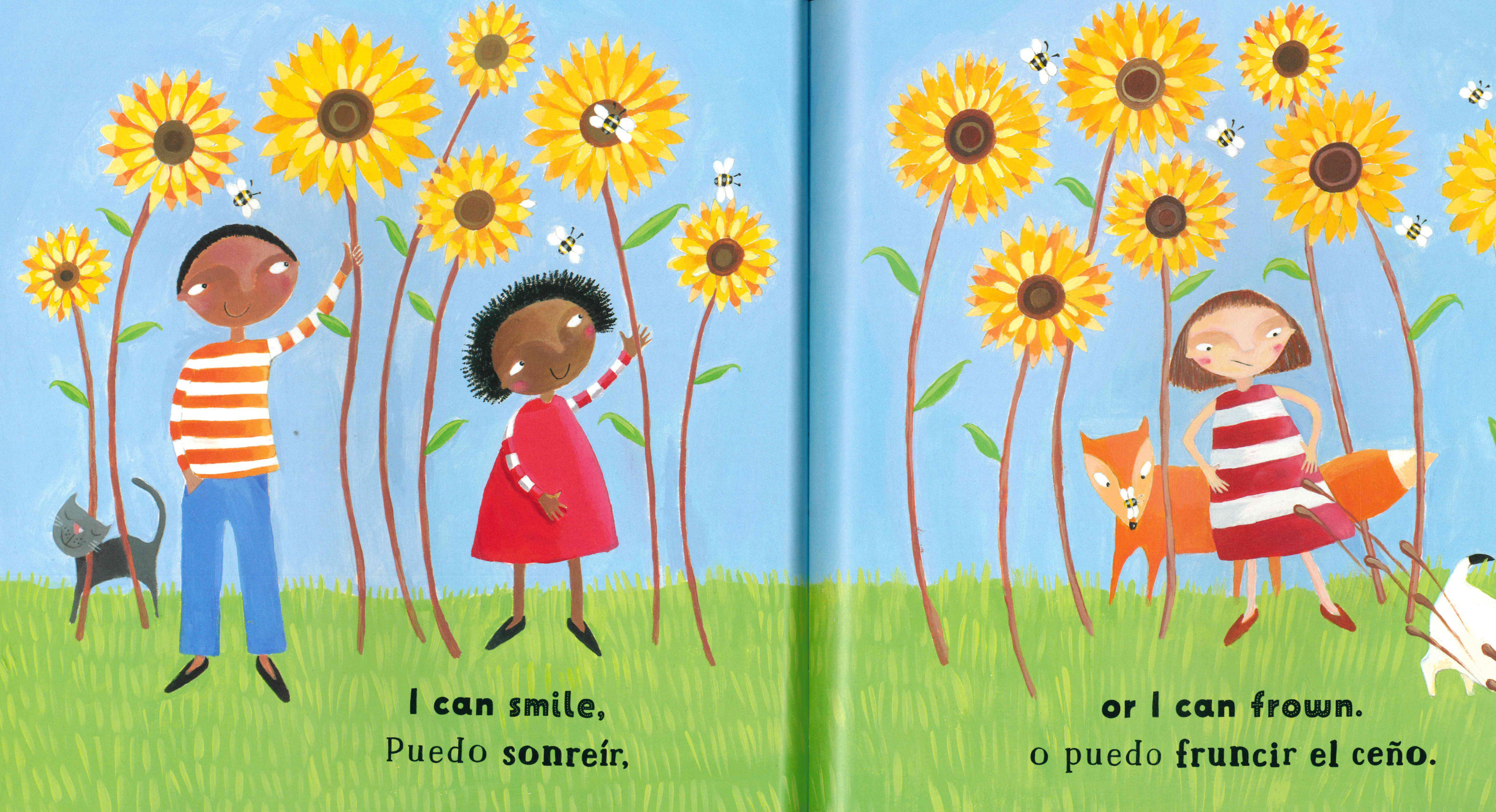 Outdoor Opposites (Spanish/English) (Paperback) Books By The Bushel