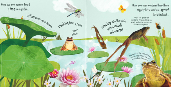 How Does a Frog Grow? (Board Book)