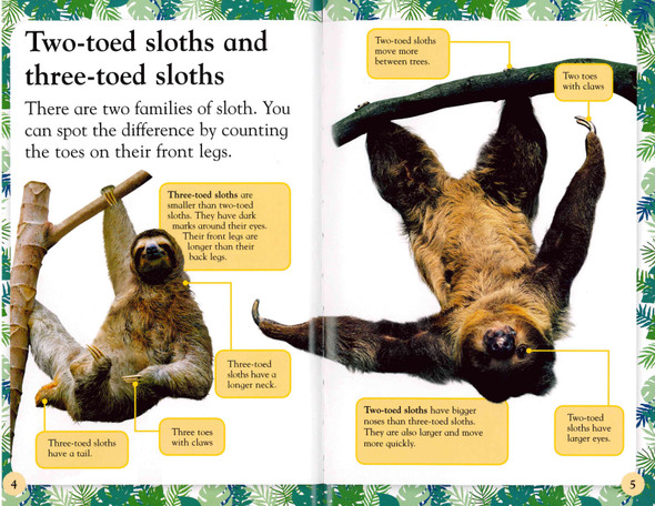 Slow, Slow Sloths Level 2 (Paperback)