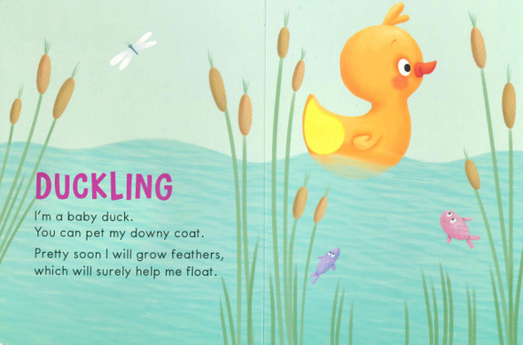 Farm Animals Touch & Feel (Big Board Book)