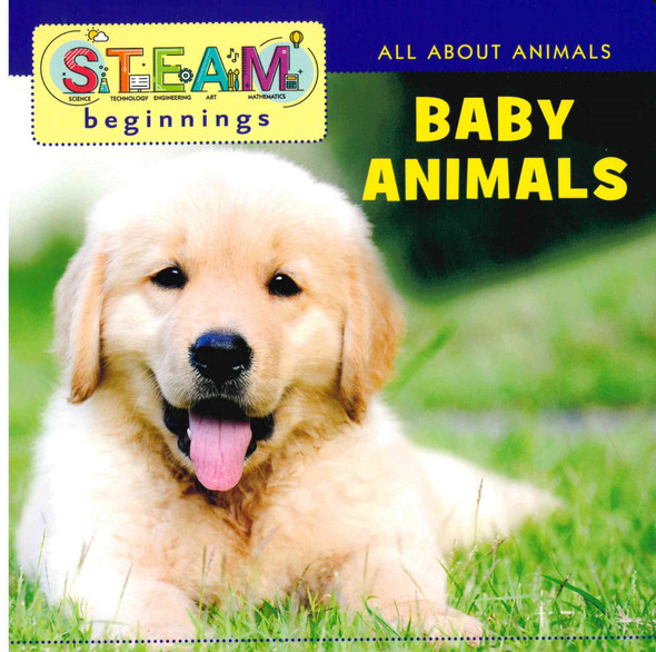 Animals: STEAM Beginnings Set of 4 (Board Book)