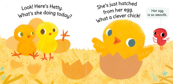 Here come the Chicks: Touch-and-Feel (Board Book)