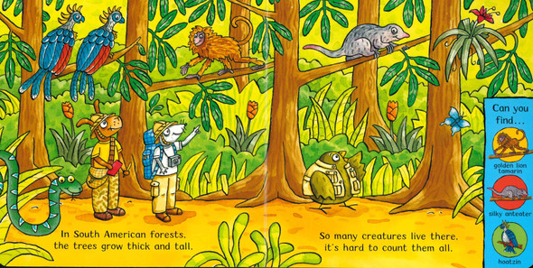 Rain Forest Adventure: Amazing Animals (Board Book)