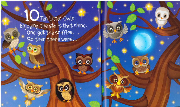 Ten Little Owls (Paperback)