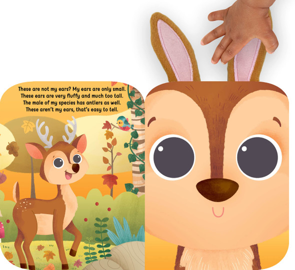 Forest: These Aren't My Ears (Board Book)