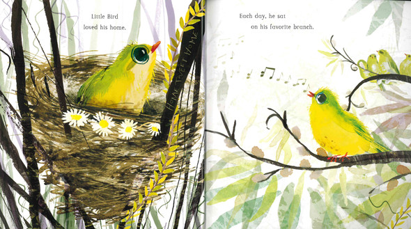 Little Home Bird (Paperback)