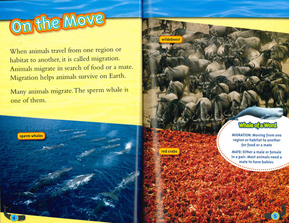 National Geographic Readers: Great Migrations Whales Level 3 (Paperback)