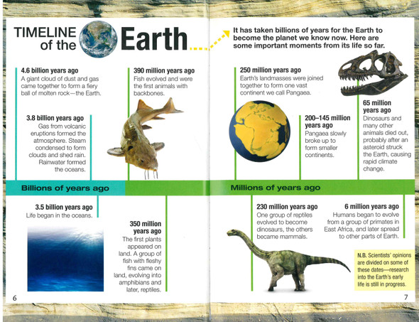 Big Fantastic Earth: DK Reader Level 4 (Paperback)