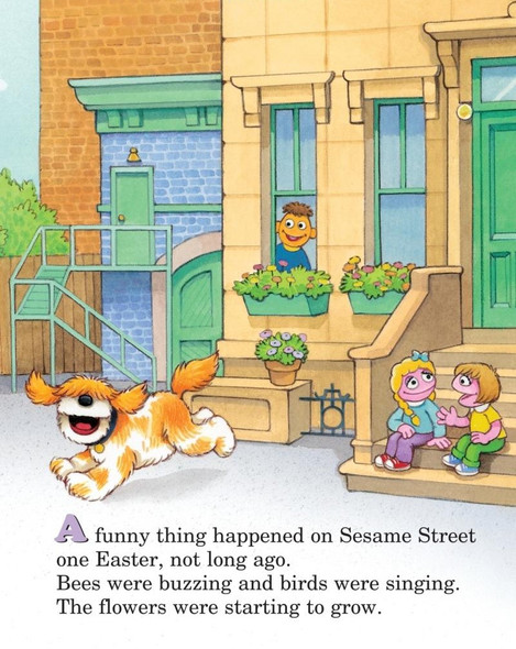 The Bunny Hop (Board Book)