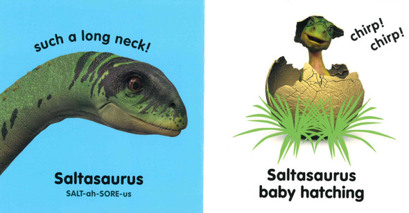 Baby Dinosaurs (Board Book)