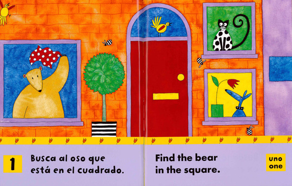 CASE OF 110-Bear in a Square (Spanish/English) (Paperback)