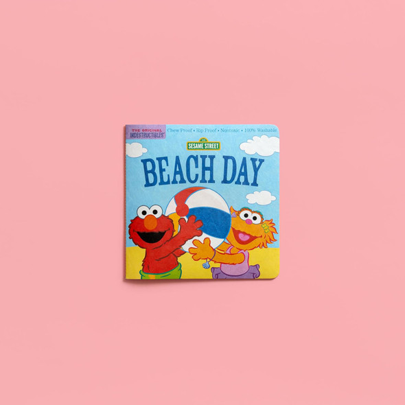 Beach Day: Sesame Street (Indestructibles)