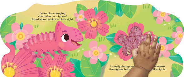Colorful Days with Chameleon (Board Book)