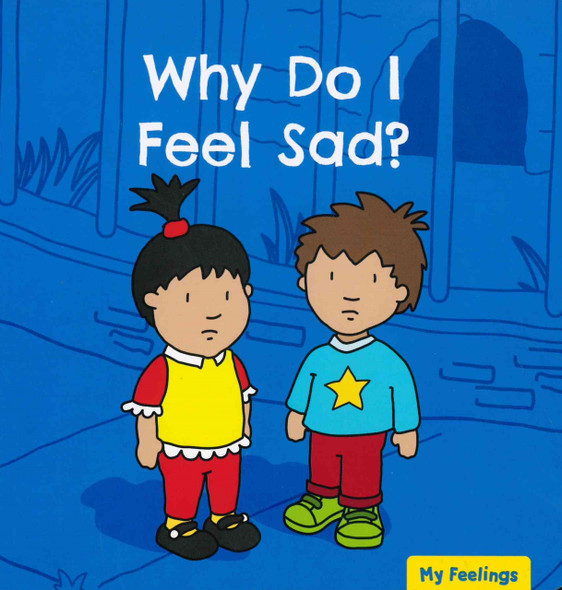 CASE OF 48-Why Do I Feel Sad? (Board Book)