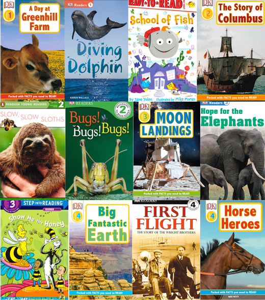60 Book Bundle - Level 1-4 Reading Fun (Paperback)