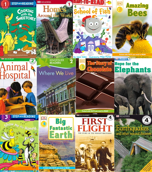 60 Book Bundle - Level 1-4 Reading Fun (Paperback)*