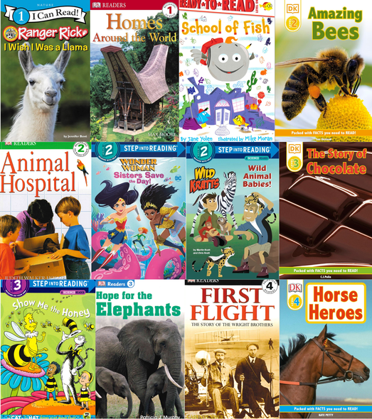 60 Book Bundle - Level 1-4 Reading Fun (Paperback)*