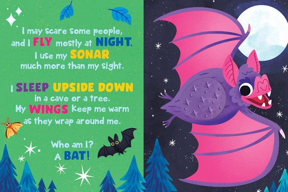 Who Am I? In the Sky (Board Book)