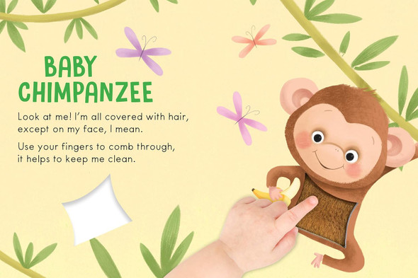 Touch & Feel Baby Animals (Board Book)