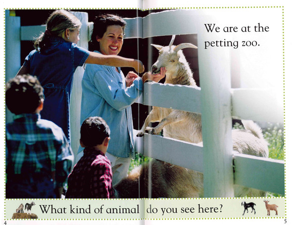 Petting Zoo: DK Reader Pre-Level 1 (Paperback)