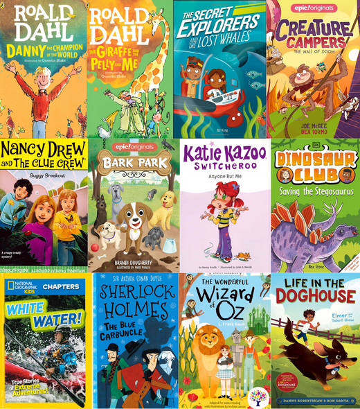 60 Book Bundle- Chapter Books for Everyone!