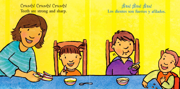 Teeth Are Not for Biting / Los dientes no son para morder (Spanish/English) (Board Book)
