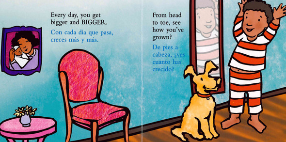 Diapers Are Not Forever / Los pañales no son para siempre (Spanish/English) (Board Book)