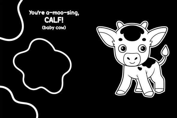 Baby Animals: High Contrast (Board Book)