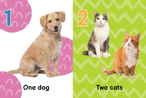 123: Count to 20 with First Words (Padded Board Book)