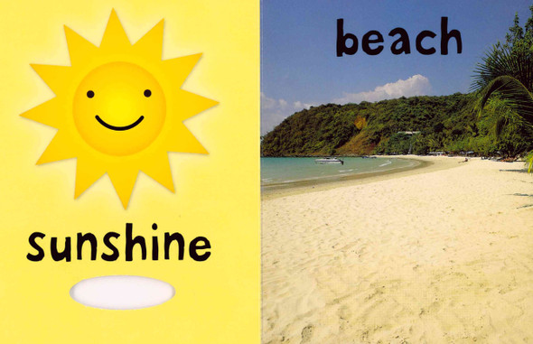 Summer: Touch and Feel (Board Book)*