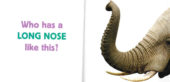 Noses: What Animal Has a Nose Like This? (Paperback)*