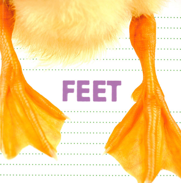 Feet: What Animal Has Feet Like These? (Paperback)*