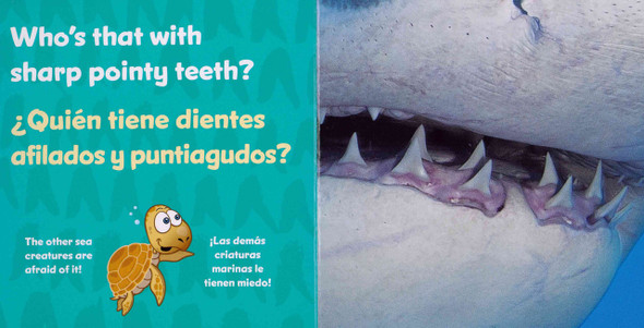 CASE OF 40 - Who's That Swimming in the Ocean? (Spanish/English) (Board Book)