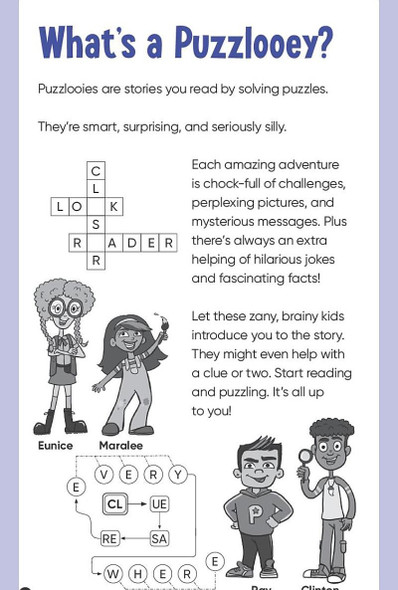 Disaster Master: Puzzloo!es (Paperback)