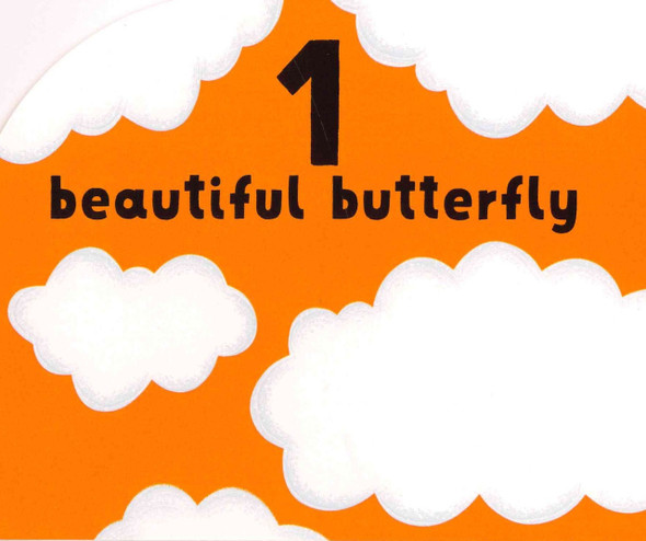 Count to Five: A Little Book of Numbers (Board Book)-Clearance Book/Non-Returnable