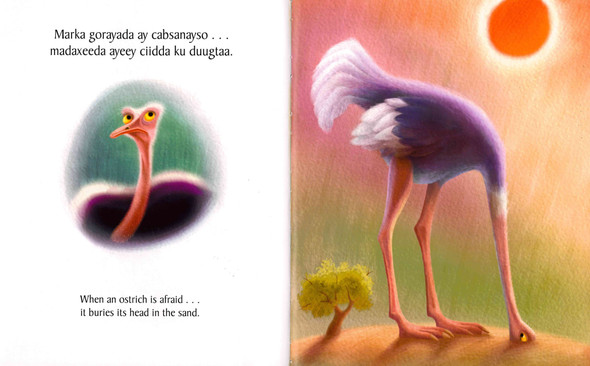 When Someone is Afraid (Somali/English) (Board Book)