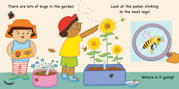 Errol's Summer (Board Book)