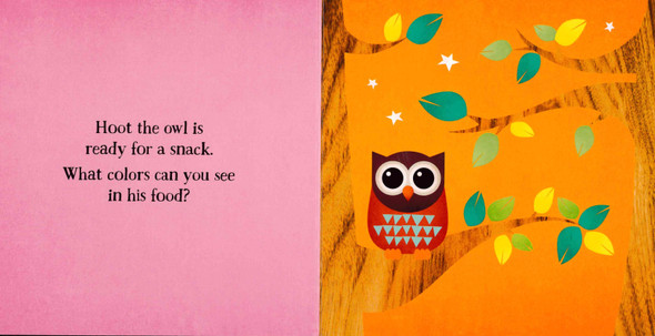 HOOT's First Book of Colors (Board Book)