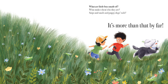 What Little Boys Are Made Of (Hardcover)