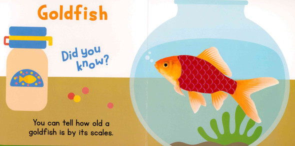 Pets: Touch & Feel (Board Book)