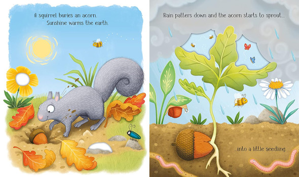 One Little Tree (Board Book)