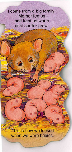 Pocket Pal Mouse (Chunky Board Book) SIZE IS 3 x 3.25 inches-Clearance Book/Non-Returnable