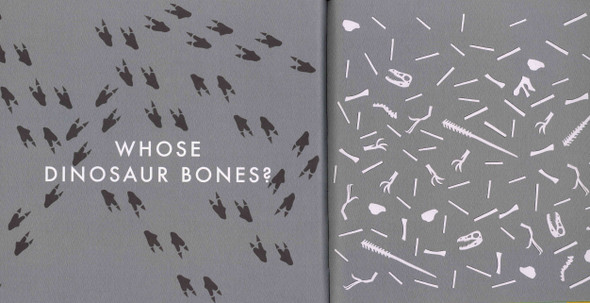 Whose Dinosaur Bones Are Those? (Hardcover)